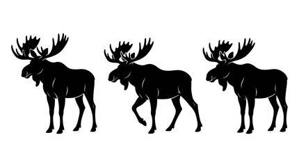 Naklejka premium Set of Three Black Moose Silhouettes with Large Antlers Isolated on White Background for Wildlife Design