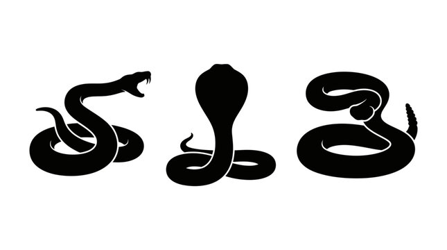 Set of 3 Black Snake Silhouettes Including King Cobra and Rattlesnake Isolated on White Background