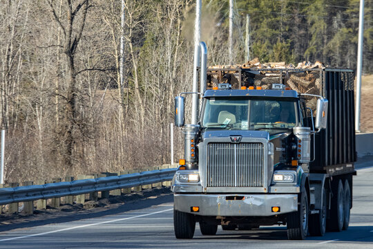 Quebec, Canada, 24 April 2026 : A Western Star semi-truck transports a load of firewood on a highway, emitting exhaust fumes.