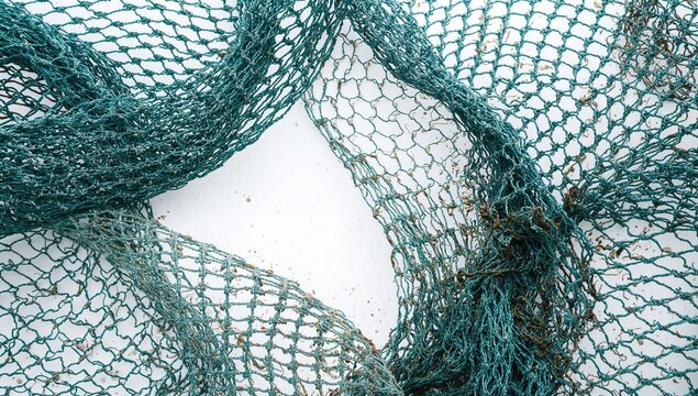 Fishing Net Texture Isolated on White with Natural Fiber Accents