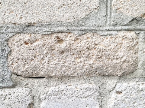 Porous Limestone Brick Wall Texture Close Up