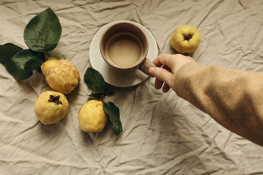 Fall still life. Woman hand in beige sweater holding Cup of coffee. Yellow quince on blurred crumpled fabric background. Autumn mood, warm natural light. Seasonal fruit harvest Flat lay, top view
