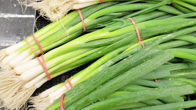 Bunches of fresh green scallions in grocery display close up