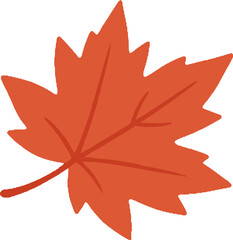 Fototapeta premium maple leaves