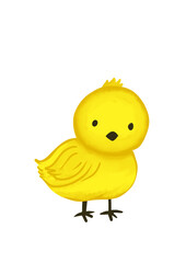 cute chick yellow © Desi