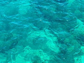 Clear turquoise sea water with gentle waves and sunlight reflections. Natural ocean surface texture as a summer, tropical vacation or marine background with copy space © Anastasiia