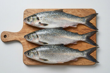 Fototapeta premium Bandeng Fish
