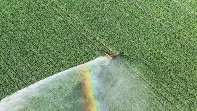 Aerial drone view of agricultural field with irrigation system watering crops. Center pivot irrigation machine spraying water on agricultural land.