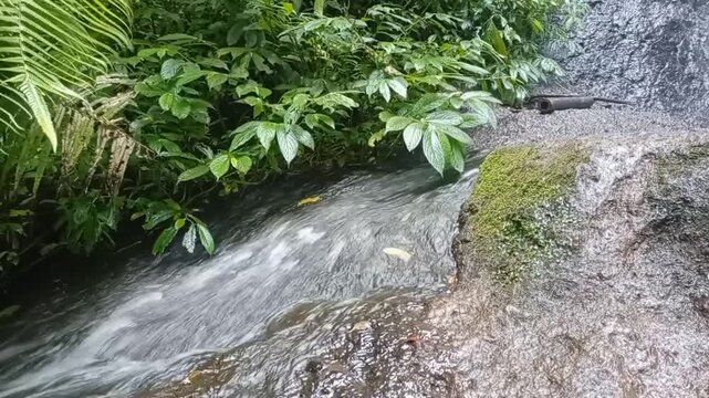 Tropical Waterfall Flowing Through Lush Green Rainforest
