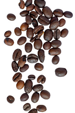 Vertical Roasted Coffee Beans Arrangement Isolated On White Background