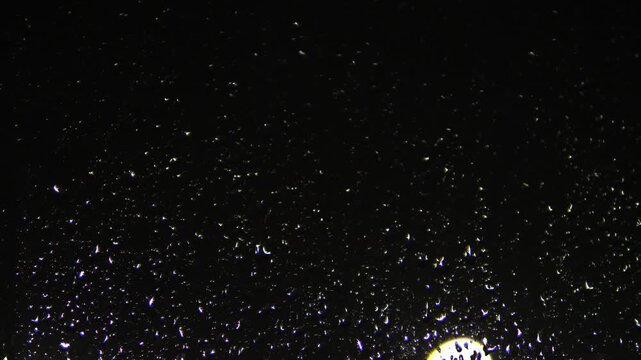 Small raindrops cover a black window and sparkle brightly under a single light source from below. Minimalist night texture creates a mysterious and cozy atmosphere