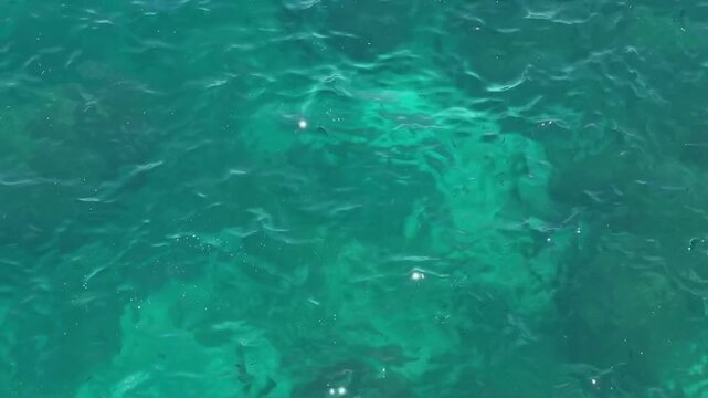 Clear turquoise sea water with gentle waves and sunlight reflections. Natural ocean surface texture as a summer, tropical vacation or marine background with copy space