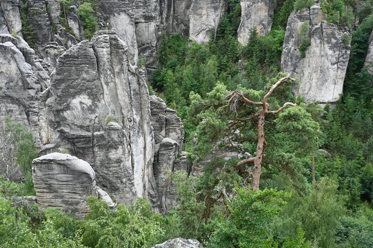Prachauer Felsen