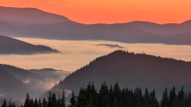 Amazing summer  sunrise in Carpathian mountains, Drahobrat