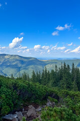 Fototapeta premium Mountains and trees under a blue sky with clouds during daytime