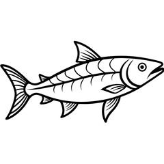 Fototapeta premium Tarpon line art vector