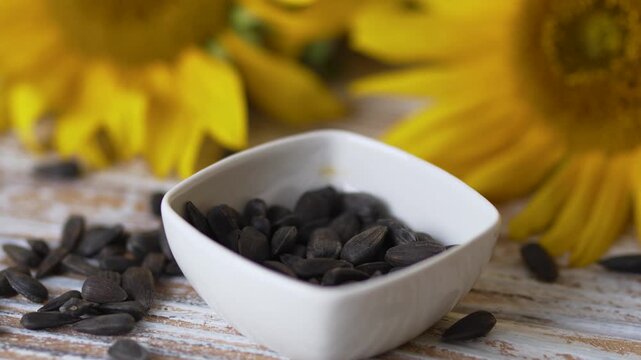 Organic agriculture crop sunflower seed kernels in studio setup video