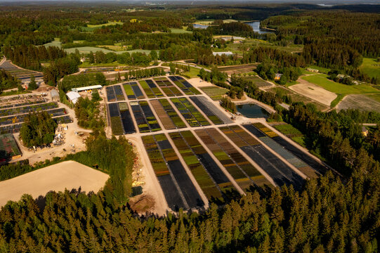 Aerial view of a large plant nursery with organized rows of saplings and a small irrigation pond surrounded by dense coniferous forest in Uusimaa, Finland.