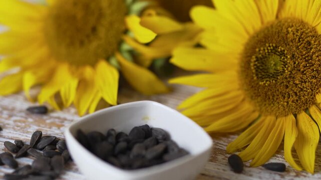 B-roll footage of black sunflower seed kernels inside small dish