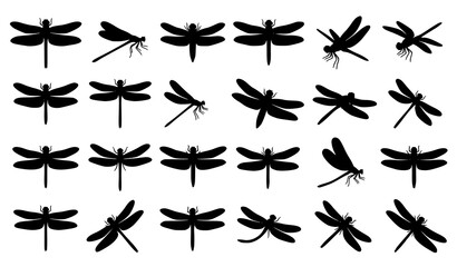 Fototapeta premium Closeup black dragonfly silhouette vector set with realistic flying insect illustrations isolated on white background