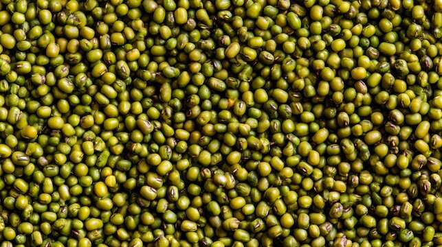 Mung beans displayed for sale in supermarket aisle, showcasing fresh green legumes, healthy food ingredients and agricultural products for cooking, nutrition and sustainable grocery consumption