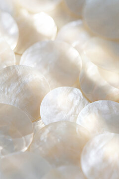Overlapping translucent ivory shell discs glow softly in a luminous close-up composition with shallow depth of field.