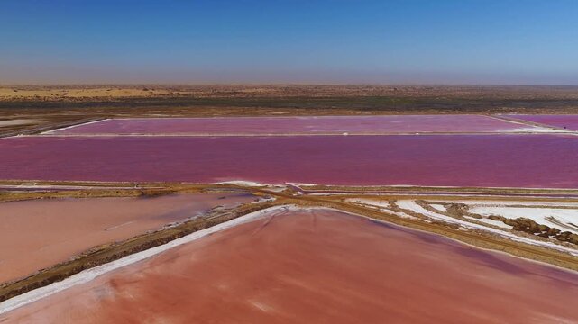 Aerial drone view of pink salt pans at Walvis Bay, Namibia, with white crusts and berms in a grid. A slow sweep shows channels, tracks, ripples, and desert dunes under a clear sky.