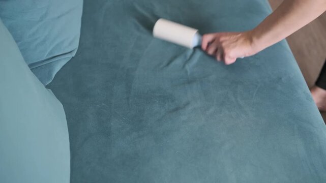 woman cleaning sofa with sticky roller removing pet hair from furniture. lint roller collects pet hair and dust from fabric surface. concept of pet hair removal and home cleaning routine