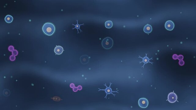 Stem Cell Differentiation Microscopy Seamless Loop With Branching Neural Muscle And Blood Cell Lineages in calm blue tones