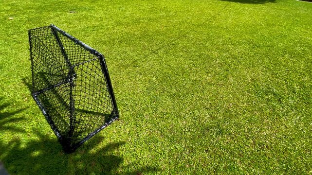 Soccer goal on green grass field