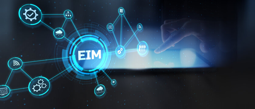 EIM Enterprise Information Management System for Business Data Integration and Process Optimization