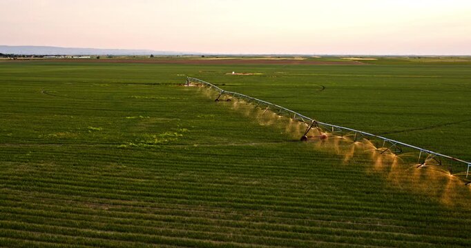 Agricultural pivot irrigation system watering a green field at sunset, aerial view