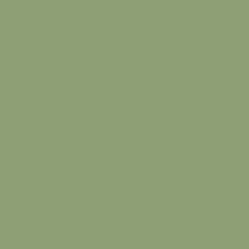 Solid sage green color background with a flat muted tone