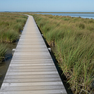 long wooden boardwalk stretching through marshland under clear blue sky concept of peaceful nature walk