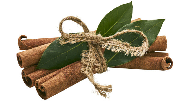 Bundle of cinnamon sticks tied with jute twine and green leaves, isolated on transparent background
