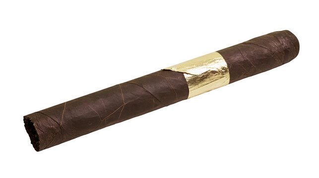 Dark brown tobacco cigar with golden band, isolated on transparent background