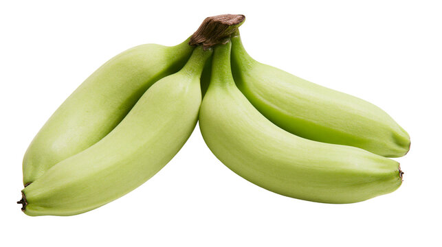 Bunch of unripe green bananas, isolated on transparent background