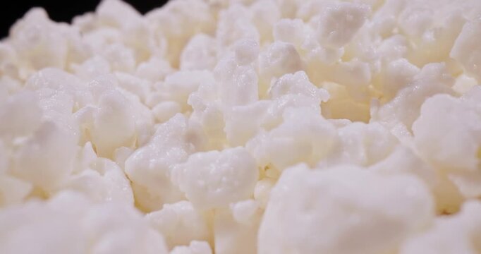 Cottage cheese fresh milk curd, probe lens macro.