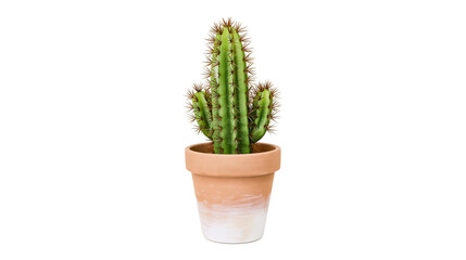 Green cactus with sharp spines in a terracotta pot, isolated on transparent background © Jonathan