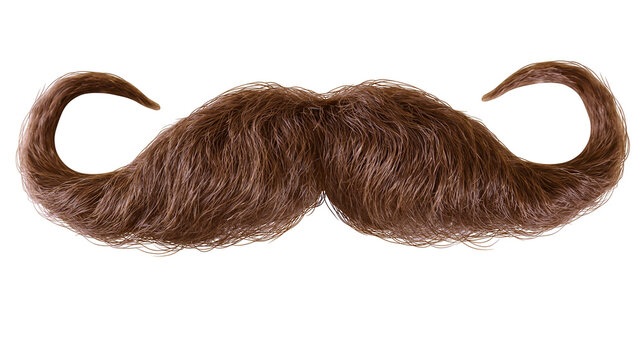 Brown curly handlebar mustache realistic hair texture, isolated on transparent background