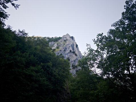 Montagna rocciosa chiara circondata da foresta verde e cielo azzurro limpido. Forte contrasto tra roccia esposta e vegetazione fitta, scena naturale luminosa e incontaminata