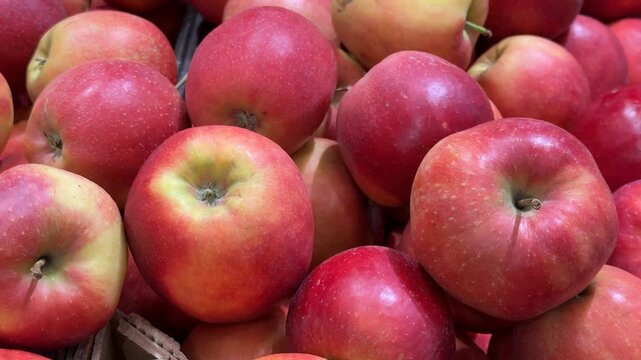 Close-up of fresh red and yellow apples, suitable for healthy food background and fall themes