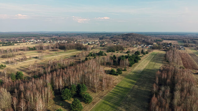Aerial view of bare forest and open meadow