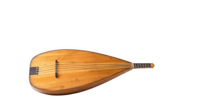 Ancient wooden lute musical instrument