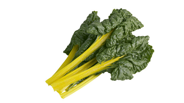 Fresh bunch of vibrant yellow chard stems and dark green crinkled leaves, isolated on transparent background