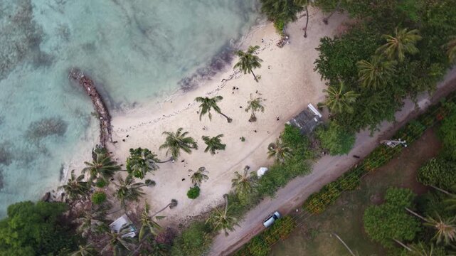 Aerial Drone View of Tropical Beach with Coconut Palm Trees