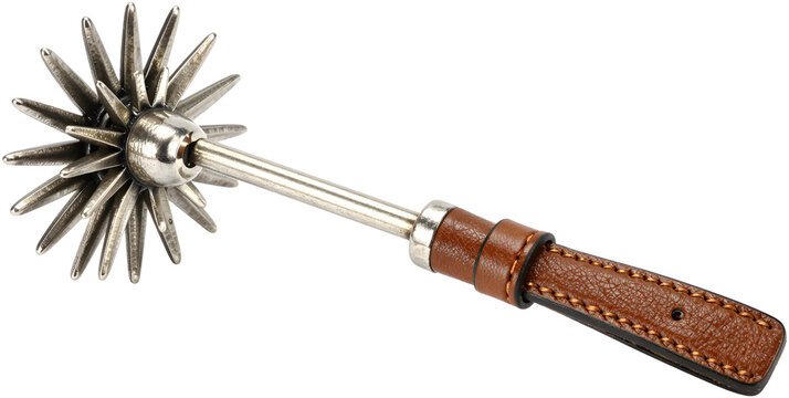 An ornamental metal spur featuring a sharp rotating star rowel and car