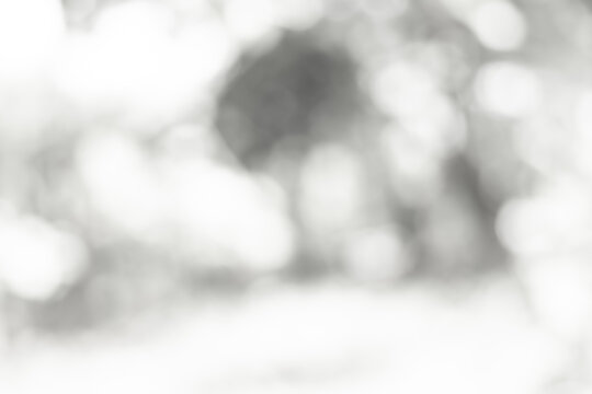 white blurred backdrop of nature, circle white wallpaper, gray bokeh background