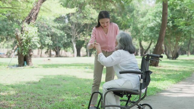 Care and Compassion: A scene of intergenerational connection unfolds in a serene park setting. A younger woman assists an elderly person in a wheelchair. This image embodies care, empathy.