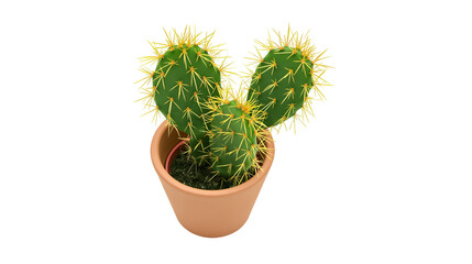 Green prickly pear cactus plant in a terracotta pot, isolated on transparent background © Finn